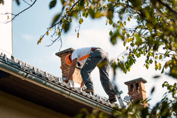 Best Roof Gutter Cleaning  in Sauk Vlage, IL