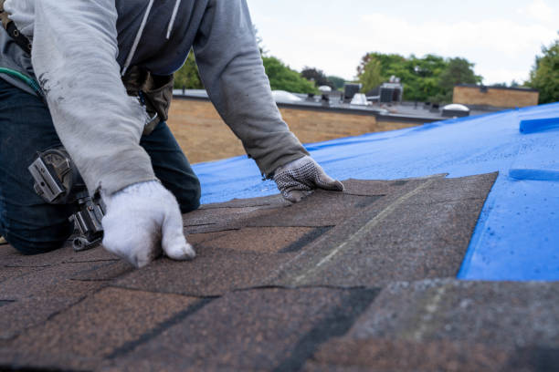 Best Storm Damage Roof Repair  in Sauk Vlage, IL